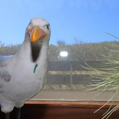 Haus-alice-segatz-36-2 *